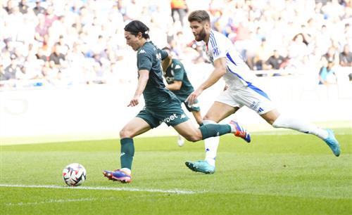 Panel Betting: Guide for Homeowners